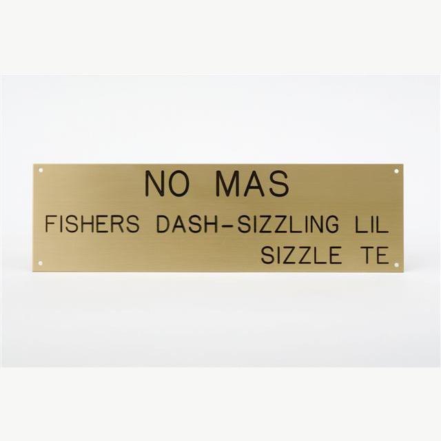 SOLID BRASS STALL PLATES - Click Image to Close